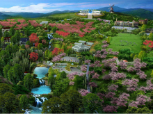 大王山庄整体鸟瞰图