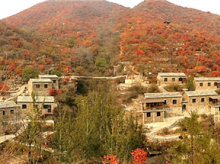 景区-坡峰岭实景图