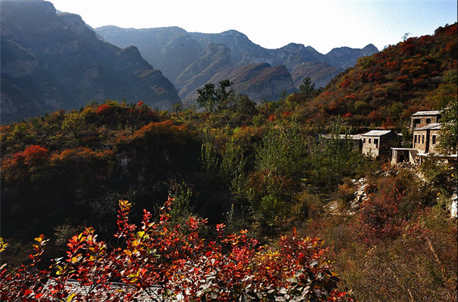 坡峰岭红叶风景区