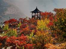 坡峰岭红叶风景区1