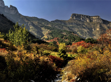坡峰岭红叶风景区2